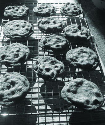 Photojournalism essay: The underrated nature of the chocolate chip cookie