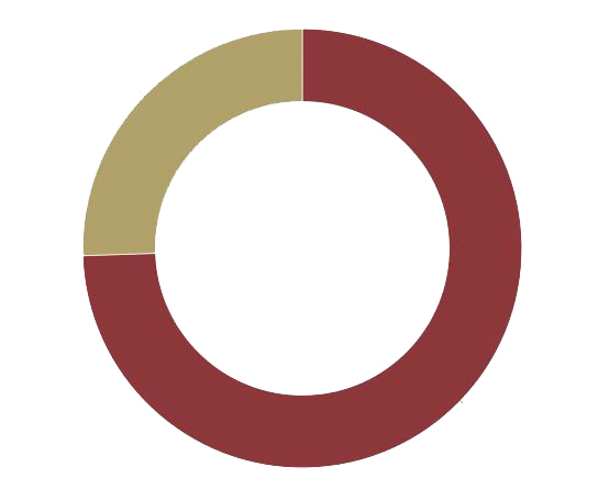 The visual representation of money made at bake sales (red) versus other forms of fundraising (tan)