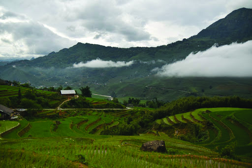 View from homestay in Ta Van Village, Vietnam featuring traditional hmong batik and cross stiching and tilled rice paddy. 