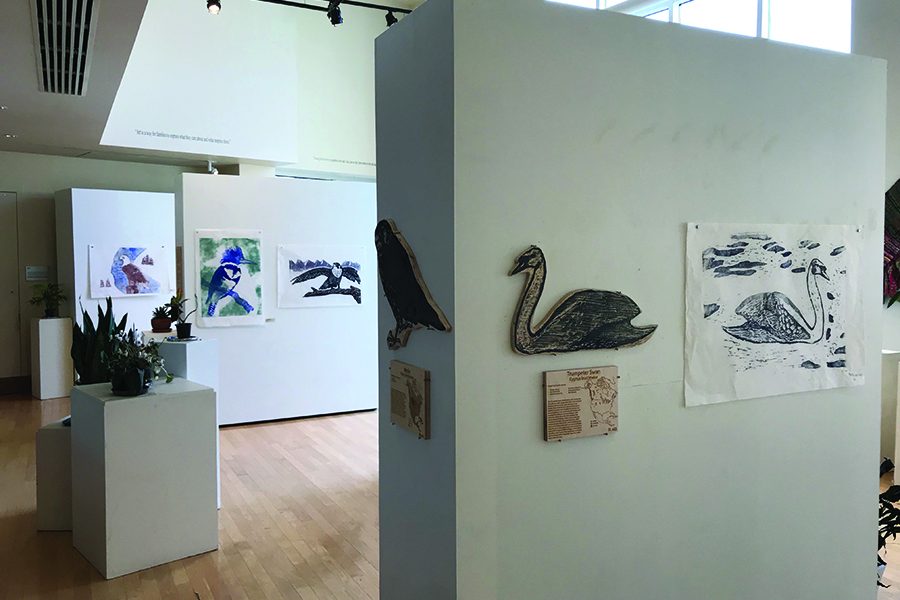 Martha Bennett Gallery debuts bird themed exhibit