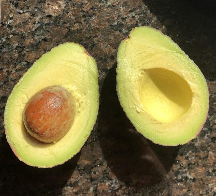 Avocado+Toast+Proves+to+be+a+Nutritious+Lunch+Perfect+For+Quarantine