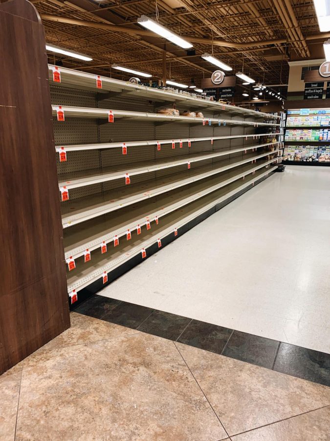 Empty shelves like these at Jerrys have become commonplace.