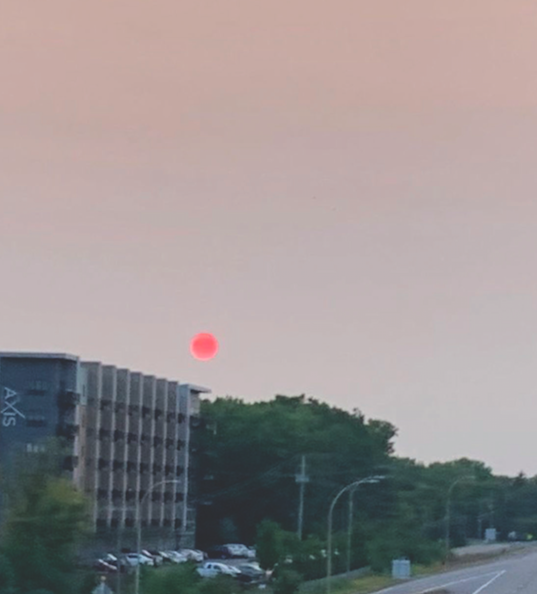 Many saw the red sun that appeared in the sky a few weeks ago, as a result of the California wildfires.