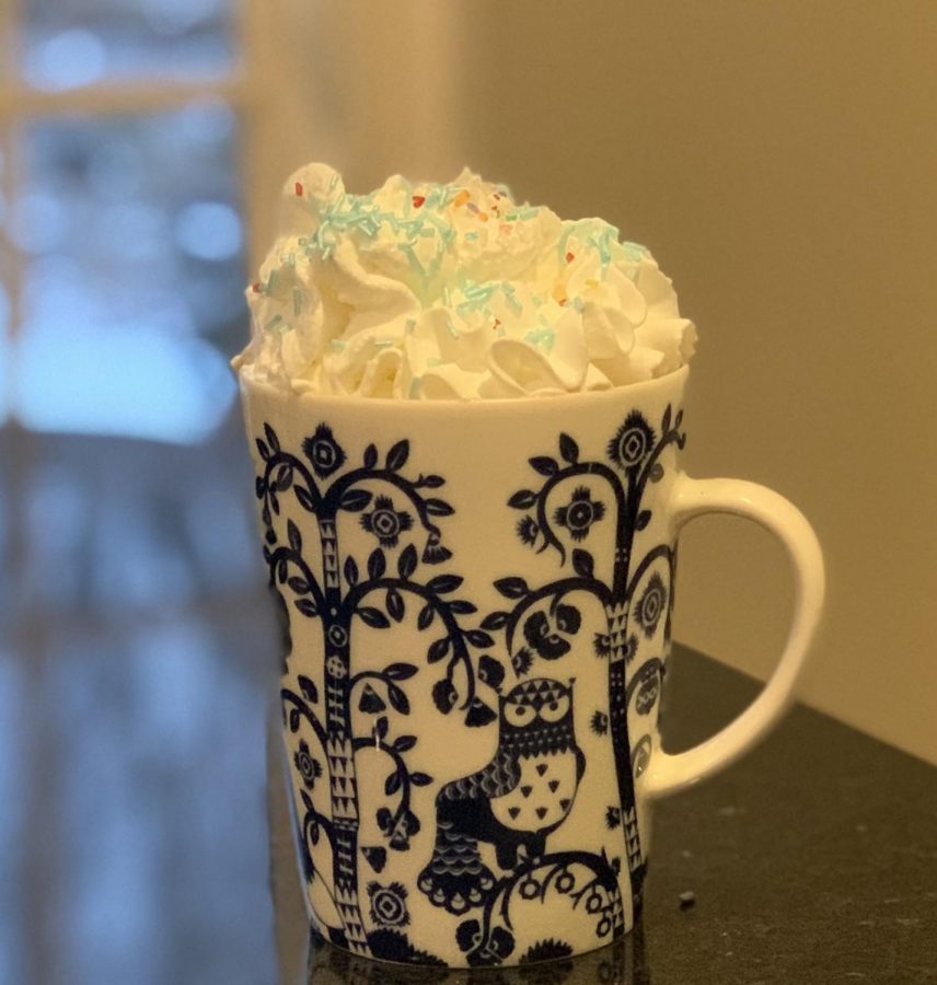 A mug of hot chocolate with a splash of vanilla overflows with whipped cream.