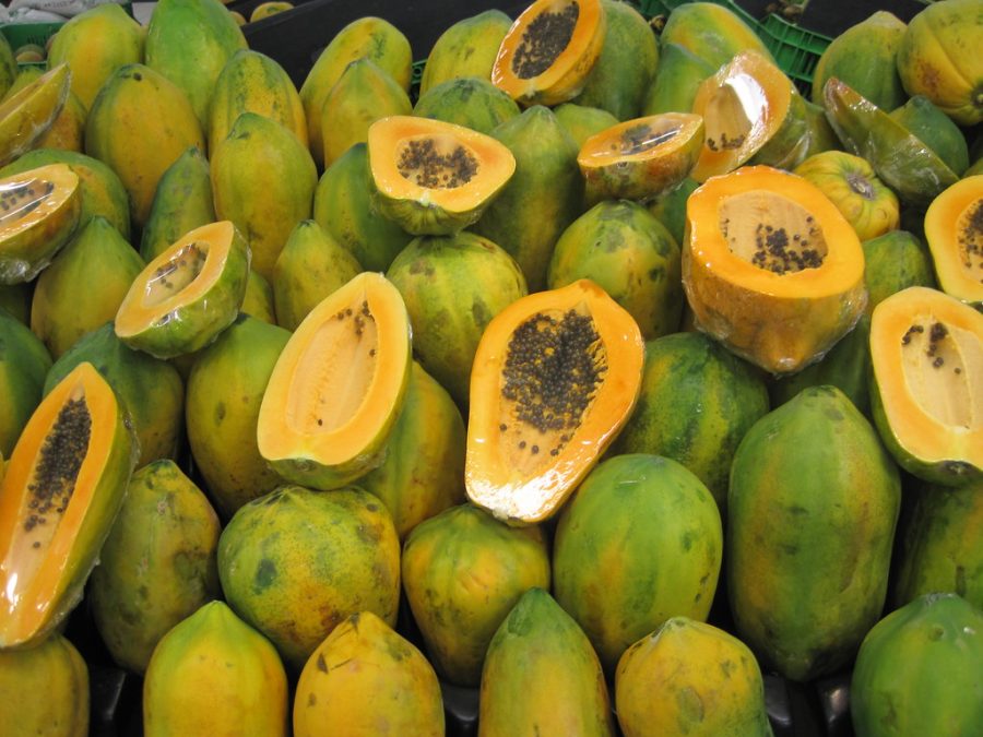 In the late 1990s, the papaya ringspot virus almost wiped out the entire crop, until Cornell University scientists created the virus-resistant Rainbow papaya. The fruit is still enjoyed today because of genetic modification.