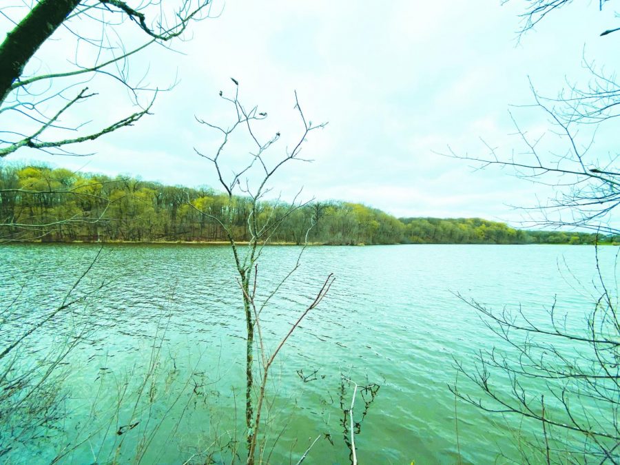 Pictured above is Wolsfeld Woods Scientific and Natural Area located on Long Lake, MN. In addition to spending time hiking or walking in the wilderness, there are tons of other activities you can do outside. For instance,  Danny Andrade-Vera ‘23 states, “Nature is inspirational, so go do all your homework outside!” 

