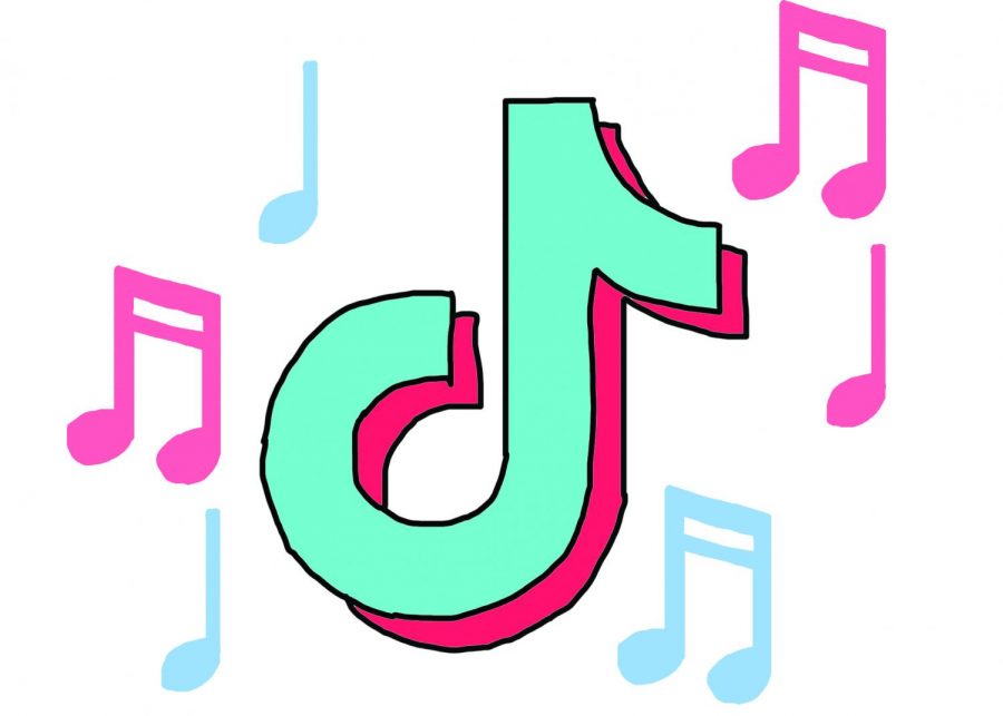 TikTok Audios, Trends Give Small Artists Platforms, Recognition