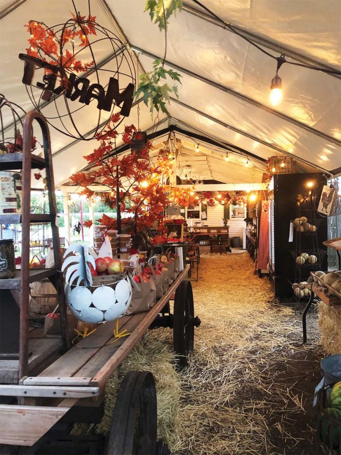 Noor Naseer ‘22 visits Marshalls Farm Market which sells produce from the farm of Carrie and Greg, who are fourth generation farmers, located in Eden Prairie. The market is open from July through November on Monday-Friday 10 a.m. -7 p.m. and Saturday-Sunday 10 a.m.- 6 p.m. at 9100 Eden Prairie Rd #2308, Eden Prairie, MN 55347. 