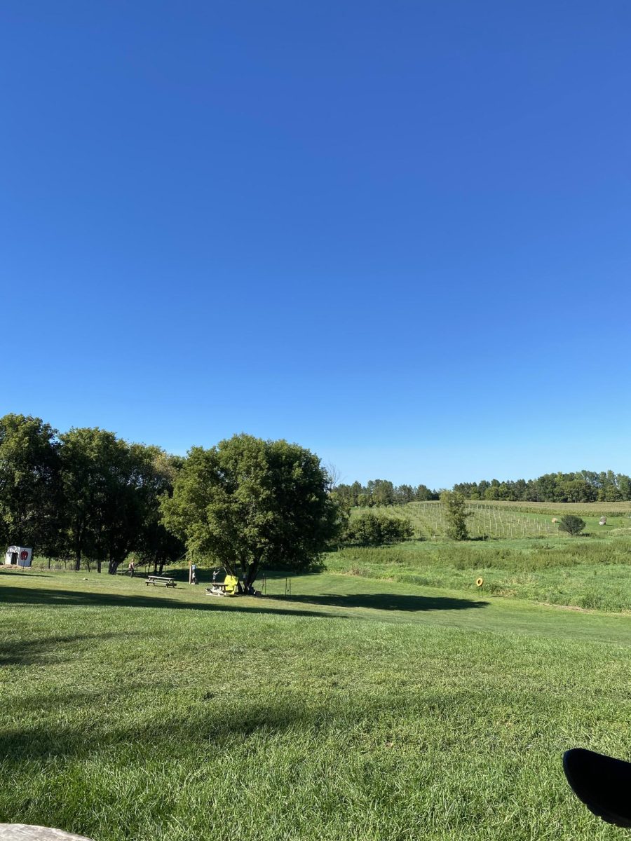 Located in Carver County, Minnesota, this picturesque orchard, LuceLine, not only has a beautiful view, but offers tasty apples and cheese curds.