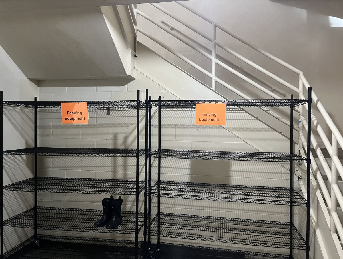 On Tuesdays and Thursdays, when the Fencing team doesn’t practice, the shelves are left empty and unused.