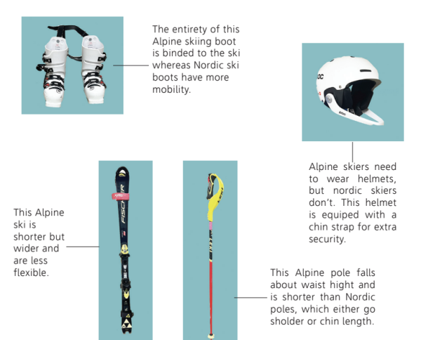 This infographic illustrates the differences between Nordic and Alpine skiing.