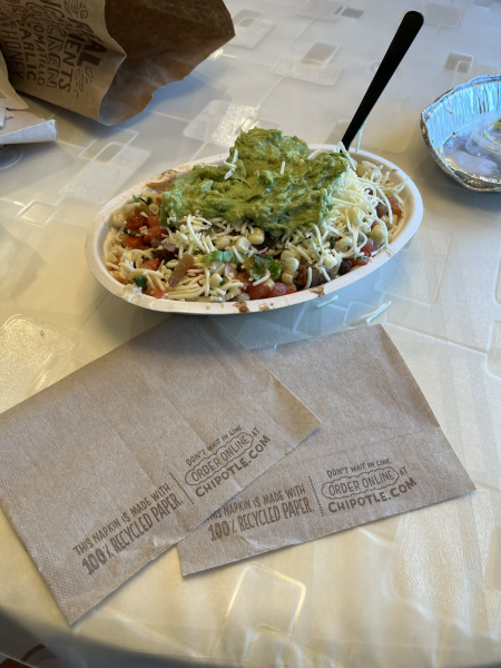 Chipotle Bowl Featuring Rice, Chicken, Salsa, Beans, Cheese and Guac