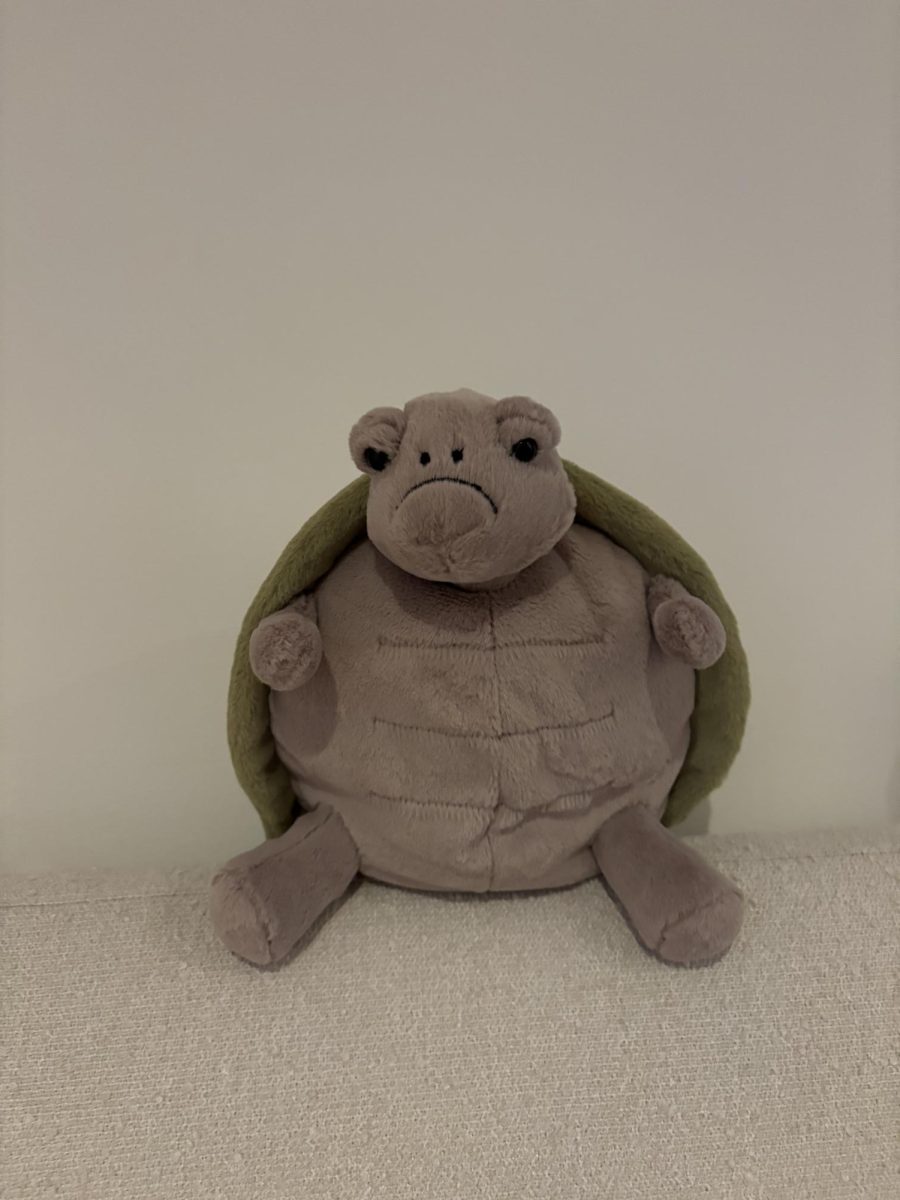 Jellycats Make Their Mark On Students